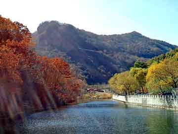 澳门最准的资料免费公开，石家庄岩棉保温板